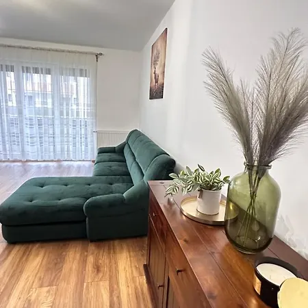 Cozy At Maurer Apartament Brașov
