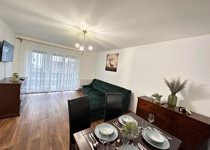 Apartment And At Maurer Brasov