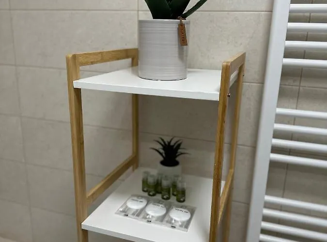 And At Maurer Brasov