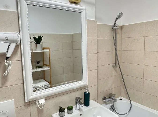 Apartment And At Maurer Brasov