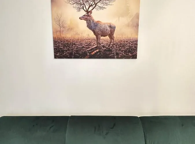 Cozy And At Maurer Braşov